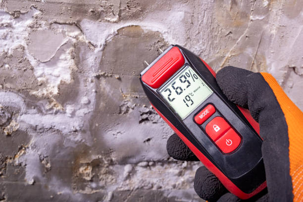 Best Mold Remediation  in Harleysville, PA
