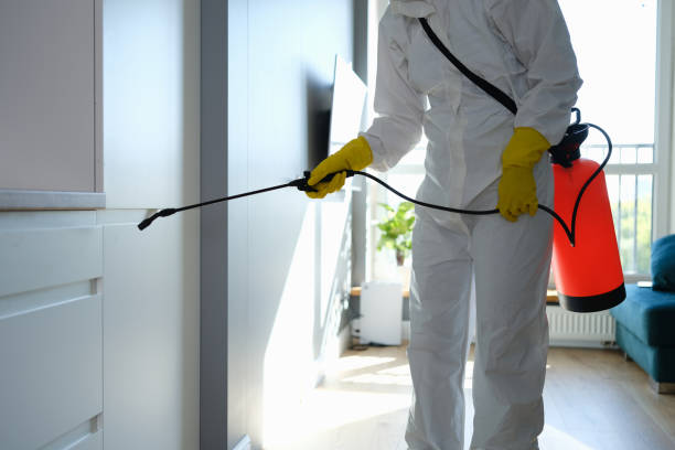 Best Toxic Mold Removal  in Harleysville, PA